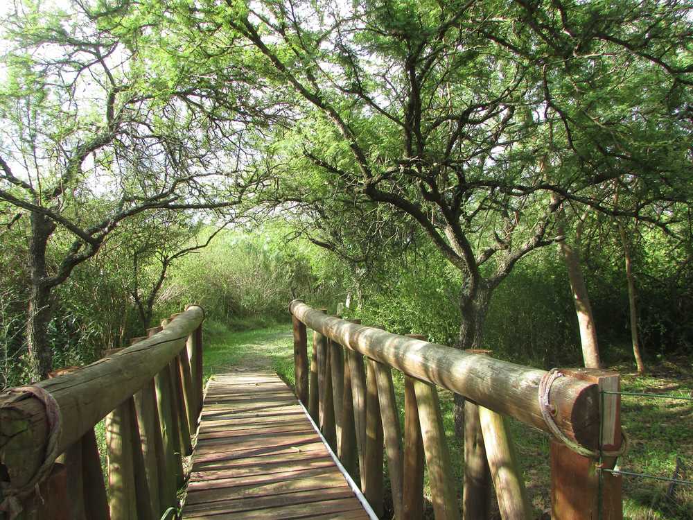 reserva natural termas chajari